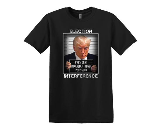ELECTION INTERFERENCE