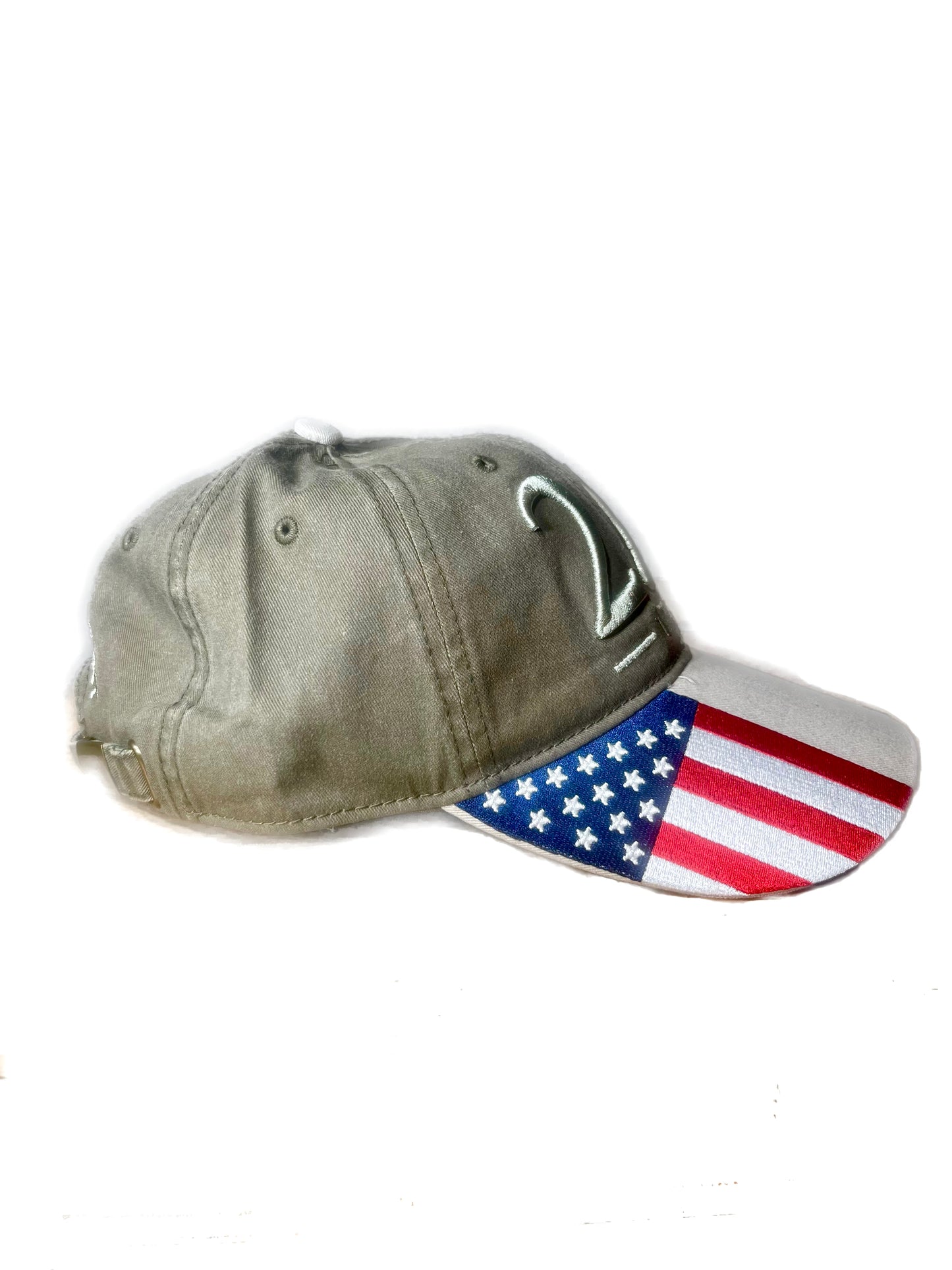 2ND AMENDMENT SAND GREEN HAT